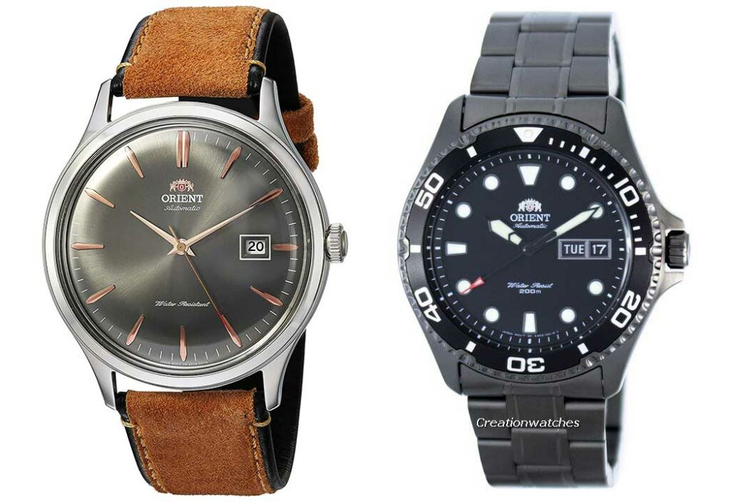 Orient Bambino et Black Ray Seven