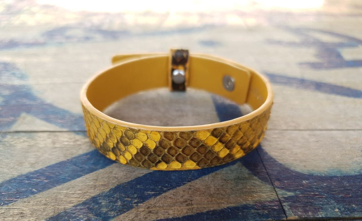 Accessoires en python de Jack Magnan